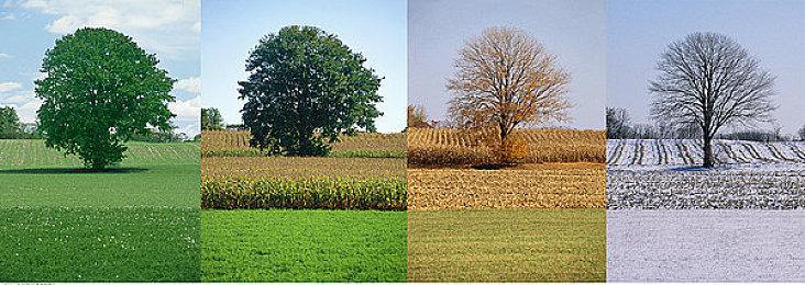 独立游戏《僵尸》Steam发售 国区原价6元